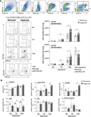 Early-life hyperoxia-induced Flt3L drives neonatal lung dendritic cell expansion and proinflammatory responses